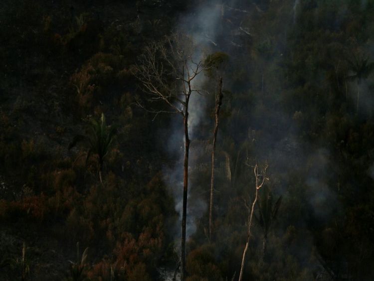 País teve 2,15 milhões de hectares queimados no primeiro semestre