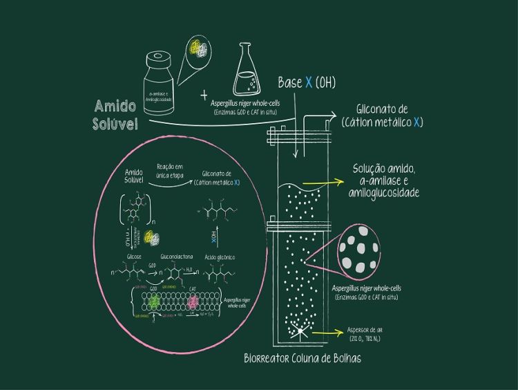 Inovação facilita produção de ácido utilizado em alimentos e fármacos