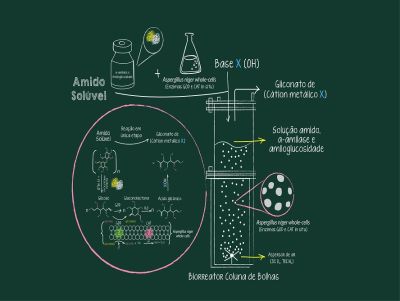 Inovação facilita produção de ácido utilizado em alimentos e fármacos