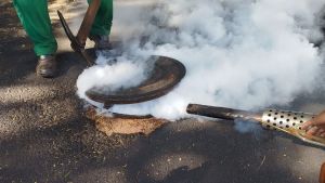 Prefeitura de Ibaté realizou dedetização em toda a cidade para combater pragas urbanas