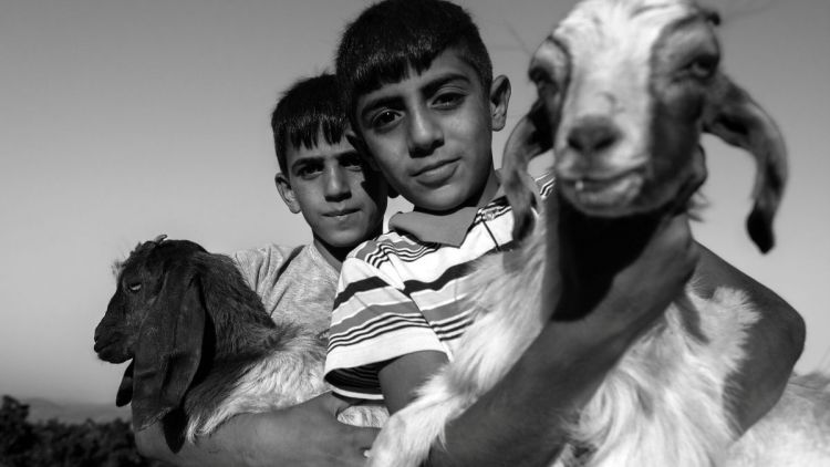 Frestas - Trienal de Artes abre sua 4ª edição no Sesc Sorocaba