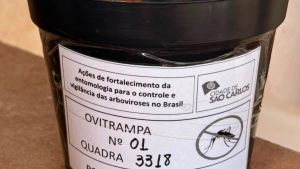 Prefeitura de São Carlos inicia instalação de ovitrampas para monitoramento de arboviroses