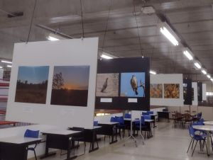 UFSCar apresenta exposição do Concurso de Fotografia do Cerrado