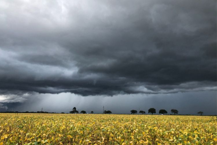 Chuvas na Argentina são &quot;muito danosas&quot; para soja e milho, dizem especialistas