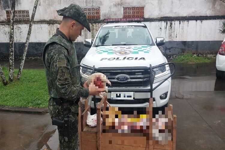 PM Ambiental autua em R$ 22 mil casal flagrado com animais silvestres abatidos