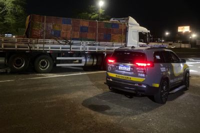 Polícia Rodoviária encontra 3 toneladas de maconha em carroceria de caminhão em Catanduva