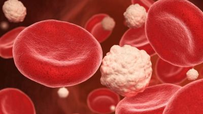 Na USP de São Carlos: Nanotecnologia e medicina tradicional se unem em possível tratamento inovador contra o diabetes