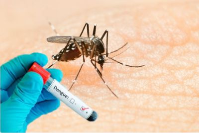 São Carlos registra mais 500 casos positivos de dengue