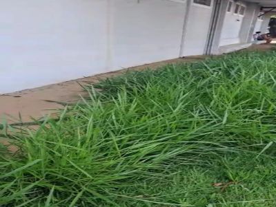 Mato alto ao redor da UBS do Maria Stella Fagá incomodam moradores