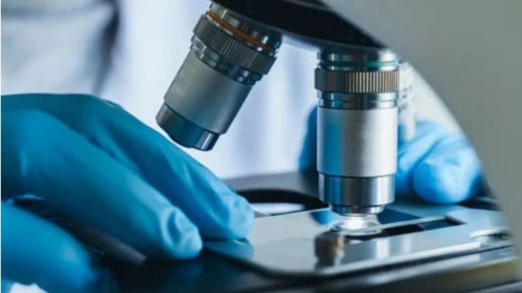 Estudo com contribuição da USP São Carlos revela como quimioterápicos afetam células do coração