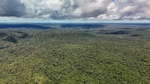Devastação na Amazônia pode quebrar maior "máquina de chuva" do mundo