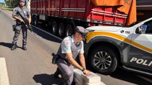 Cão da PM encontra mais de 100 kg de maconha em compartimento falso de caminhão