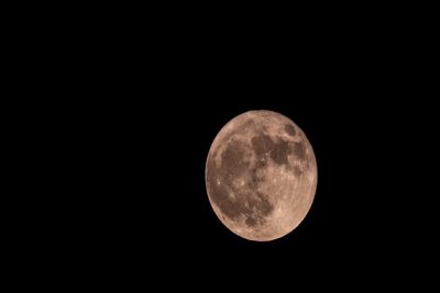 Hoje é dia de 'Lua Cheia Rosa' e será visível no Brasil