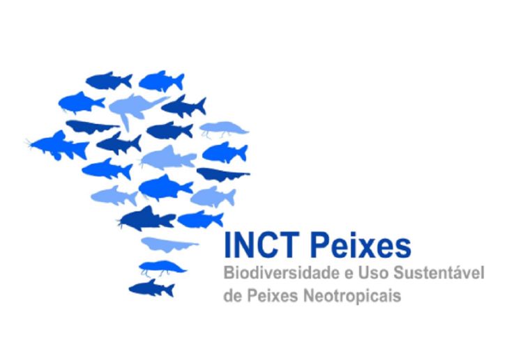 Instituto Nacional sediado na UFSCar se dedica a estudos sobre peixes neotropicais