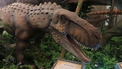 Shopping Iguatemi São Carlos leva o público a uma viagem ao “Mundo dos Dinossauros”