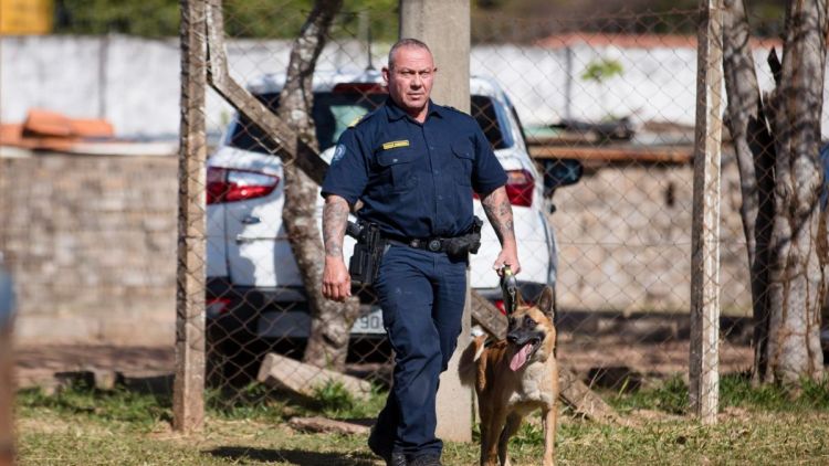 Cadela Índia auxilia Guarda Municipal na apreensão de quase 9 kg de drogas no primeiro semestre