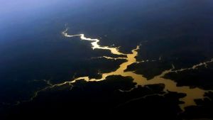 Mudança do clima: Amazônia reúne pesquisadores do Brasil e França