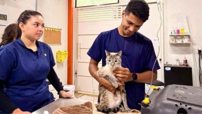 Prefeitura retoma atendimento veterinário gratuito com plantão 24 horas para famílias em vulnerabilidade