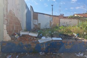Moradores reclamam de lixo e mato alto em terreno na Vila Prado