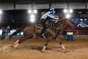 Ribeirão Rodeo Music confirma competidores dos EUA e do Canadá nas montarias em touros