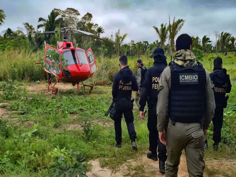 Pesquisa traça conexões entre narcotráfico e crimes ambientais no país