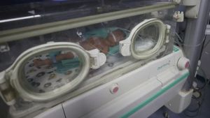 Itália apura se detergente contaminado causou mortes de bebês prematuros
