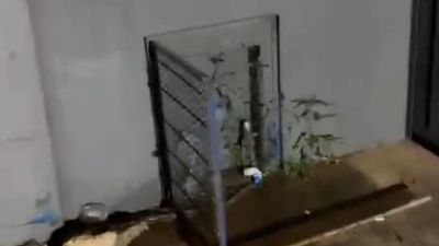 Saae registra 47 ocorrências de furtos de hidrômetros nos dois primeiros meses do ano