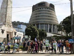 Agricultores neozelandeses protestam contra imposto sobre gases naturais do gado