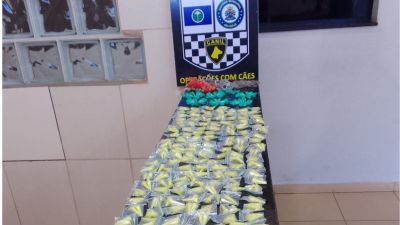 Guarda Municipal apreende centenas de porções de cocaína e outras drogas no Jacobucci