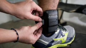 Câmara aprova aumento de prisão temporária de 5 para 15 dias