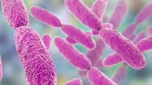 Contra pneumonia resistente a antibióticos e Pesquisadores testam tratamento com luz