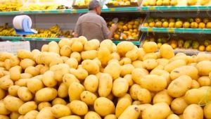 Cesta básica tem nova alta em Ribeirão e cesta chega a quase R$ 900 na Região Central