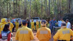Cerrado da UFSCar passa por queima prescrita na próxima semana